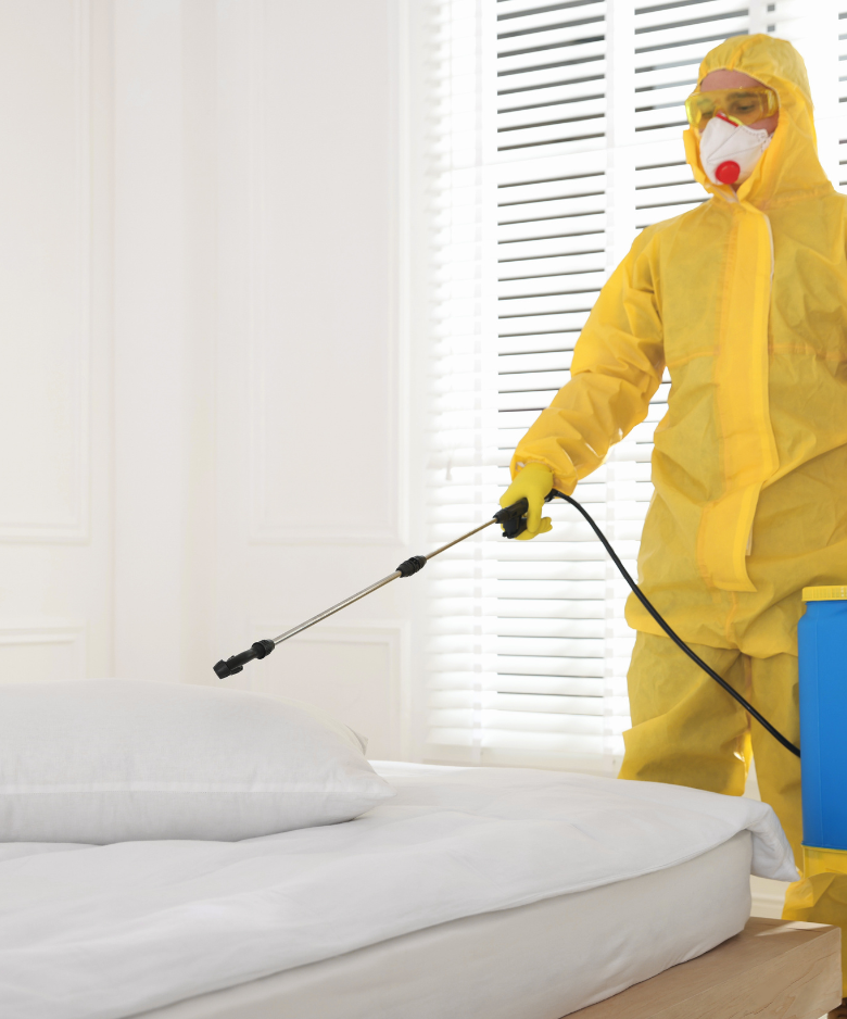 Professional Pest Control Team in Blair Athol